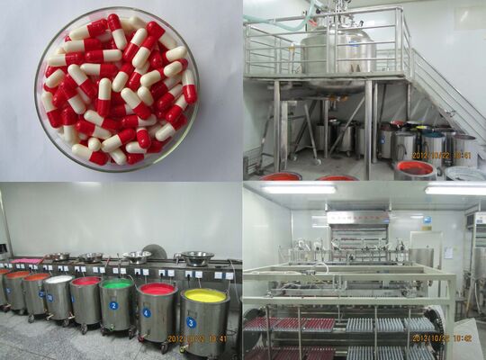 Harga yang pantas Cepat Larut Kapsul Gel Kosong Vegetarian HPMC Ukuran 00/0/1 on line