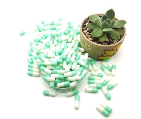 Harga yang pantas Kapsul Gel Kosong Gelatin Kelas Farmasi HPMC Terpisah on line